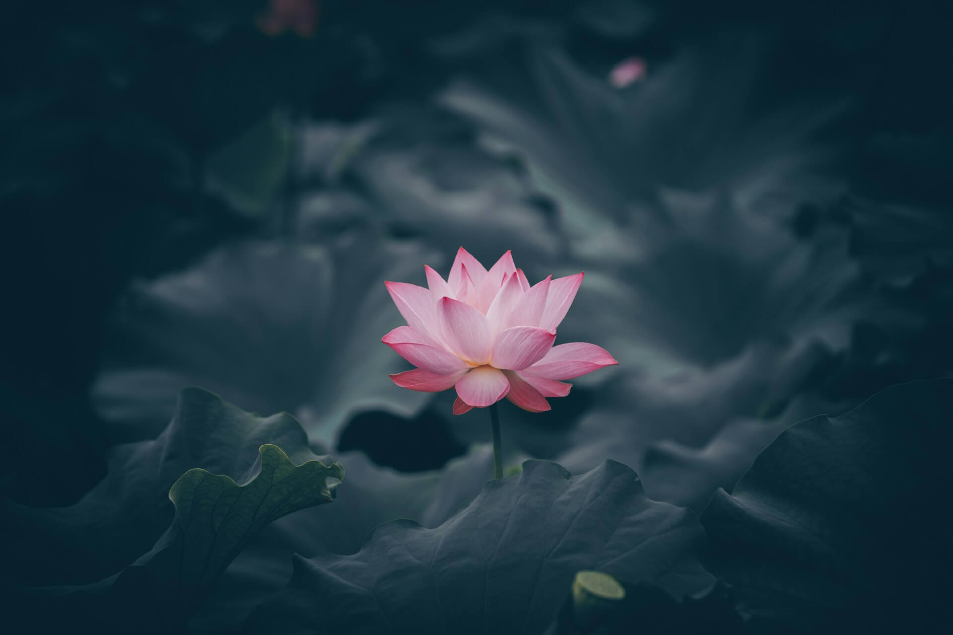 /_astro/rui-xu-XabW1JtTJ3M-unsplash.d5WwjgMD.jpg